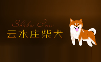 上海萌犬居宠物有限公司